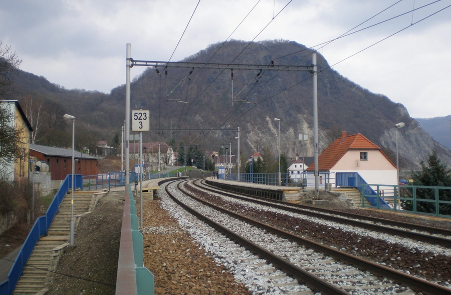 Mojžíř